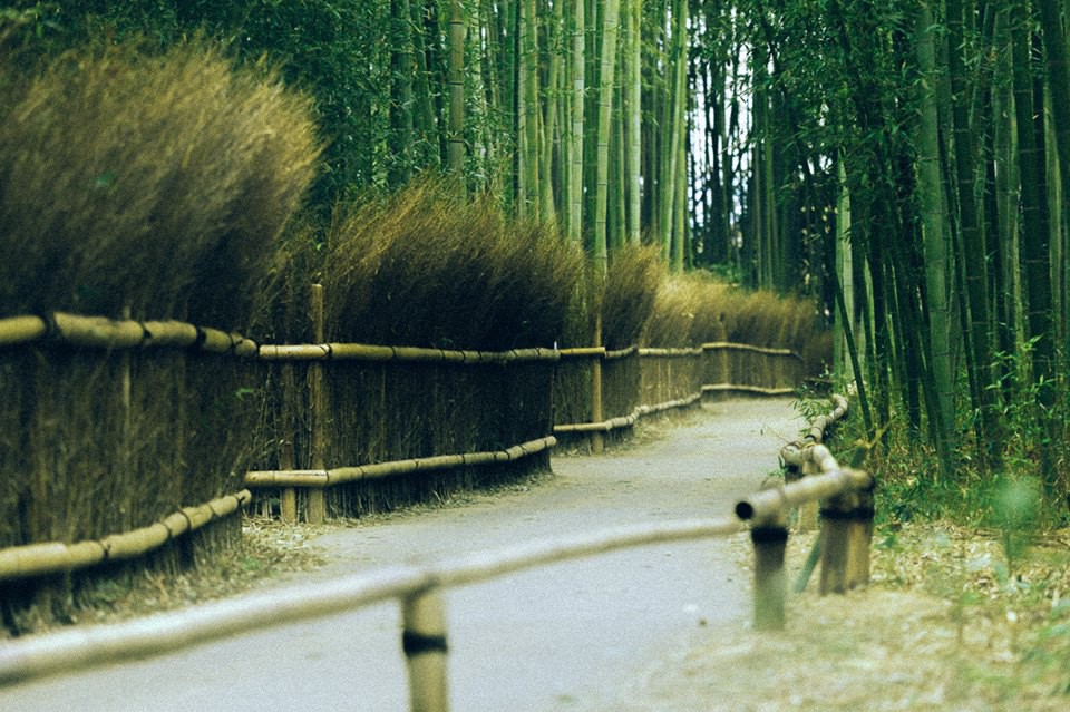 Bộ ảnh ở Kyoto này sẽ cho bạn thấy một Nhật Bản rất khác: Bình yên, dịu dàng và đẹp như những thước phim điện ảnh - Ảnh 6.