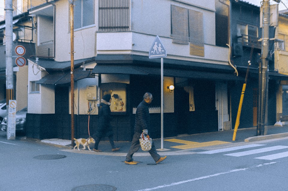 Bộ ảnh ở Kyoto này sẽ cho bạn thấy một Nhật Bản rất khác: Bình yên, dịu dàng và đẹp như những thước phim điện ảnh - Ảnh 7.
