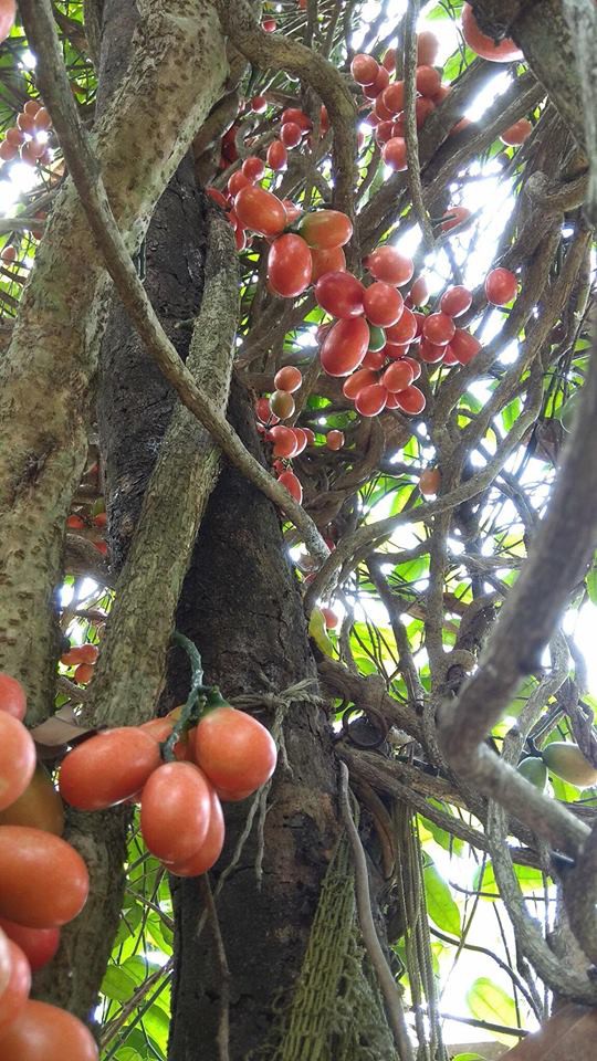 Trò đùa kinh dị của cô vợ khiến chồng ngất xỉu, đến khi biết sự thật cư dân mạng lại nhao nhao hỏi thứ này - Ảnh 4.