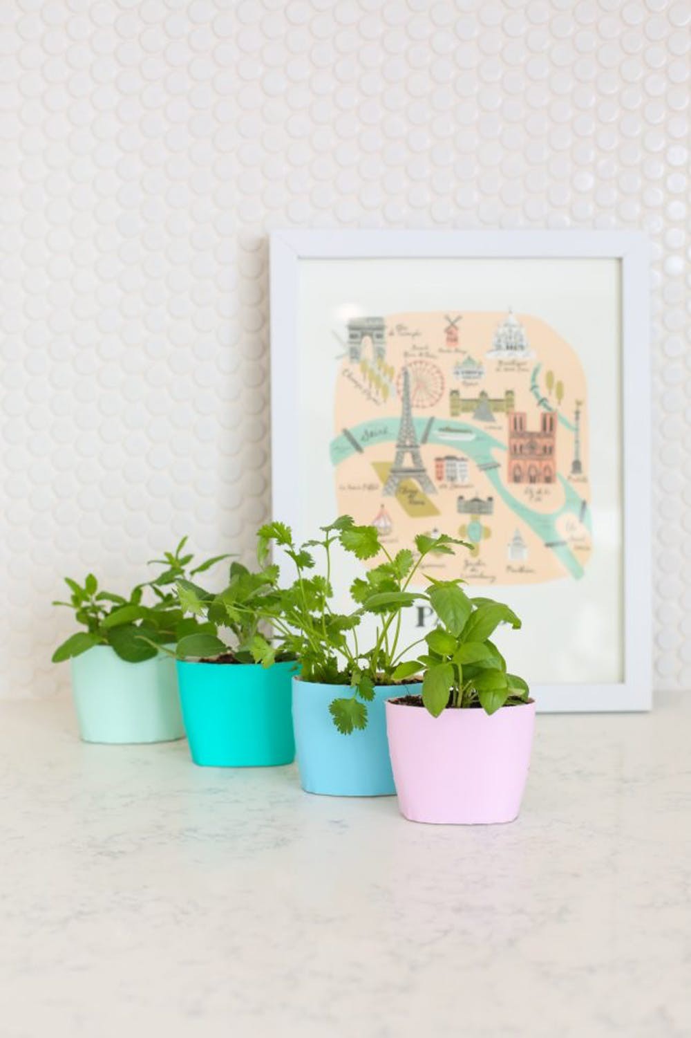 15 ý tưởng cho thấy chỗ nào trong nhà bạn cũng có thể trồng cây gia vị siêu xinh  - Ảnh 2.