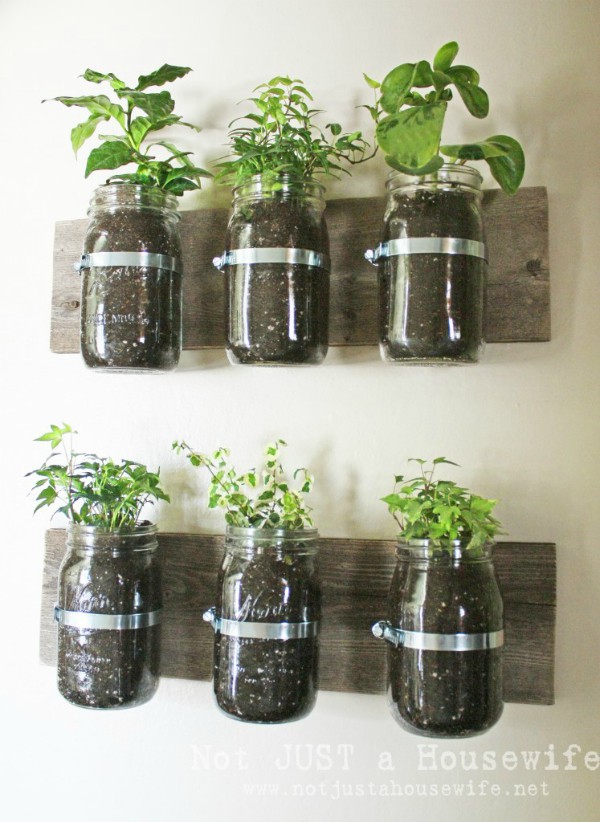 15 ý tưởng cho thấy chỗ nào trong nhà bạn cũng có thể trồng cây gia vị siêu xinh  - Ảnh 6.
