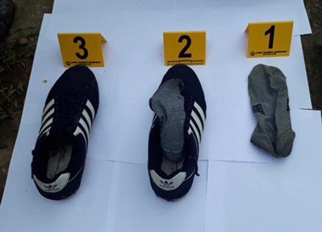 Điều tra vụ trọng án ở Hưng Yên: ADN vạch mặt hung thủ - Ảnh 3.