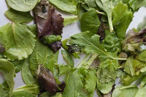 Before putting vegetables in the refrigerator, housewives should do this one step to keep them fresh for the whole week - Image 2.