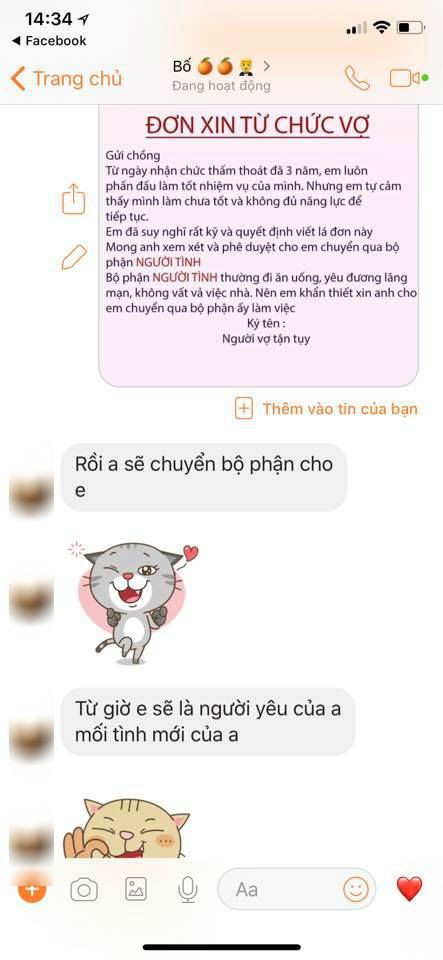 Trào lưu từ chức vợ để chuyển sang bộ phận người tình và phản ứng bất ngờ của các anh chồng gây sốt mạng - Ảnh 8.