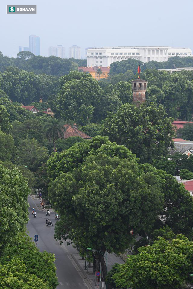 Khắp nơi treo cờ rủ Quốc tang Chủ tịch nước Trần Đại Quang - Ảnh 27.