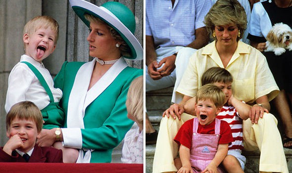 Hoàng tử Harry được thừa hưởng nhiều nét giống Công nương Diana nhất, trong khi đó Hoàng tử William lại được cho là giống bố vì lý do sau - Ảnh 1.