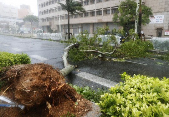 Chưa hồi phục sau bão Jebi, Nhật Bản lại hứng bão Trami - Ảnh 4. Chưa hồi phục sau bão Jebi, Nhật Bản lại hứng bão Trami - Ảnh 4.
