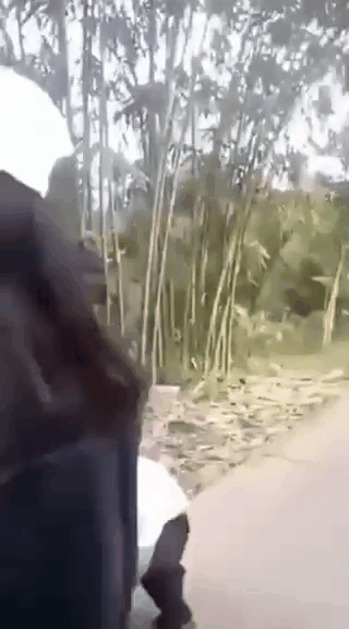 Clip: Nam sinh lớp 8 bị nhóm nữ sinh chặn đường, đạp vào người, tát túi bụi vào mặt khiến dư luận bức xúc - Ảnh 2. Clip: Nam sinh lớp 8 bị nhóm nữ sinh chặn đường, đạp vào người, tát túi bụi vào mặt khiến dư luận bức xúc - Ảnh 2.