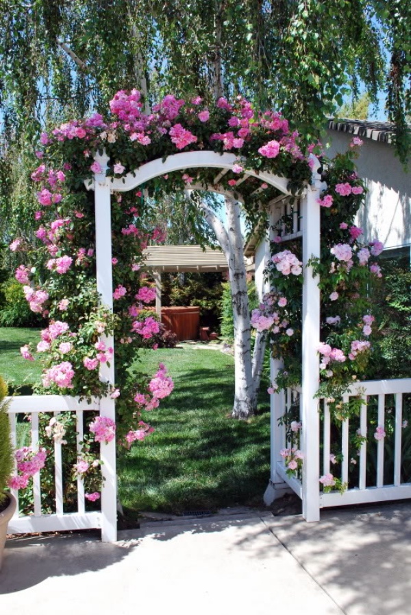 Những khu vườn trở nên lãng mạn và ngọt ngào nhờ cổng vòm rực rỡ sắc hoa - Ảnh 1.