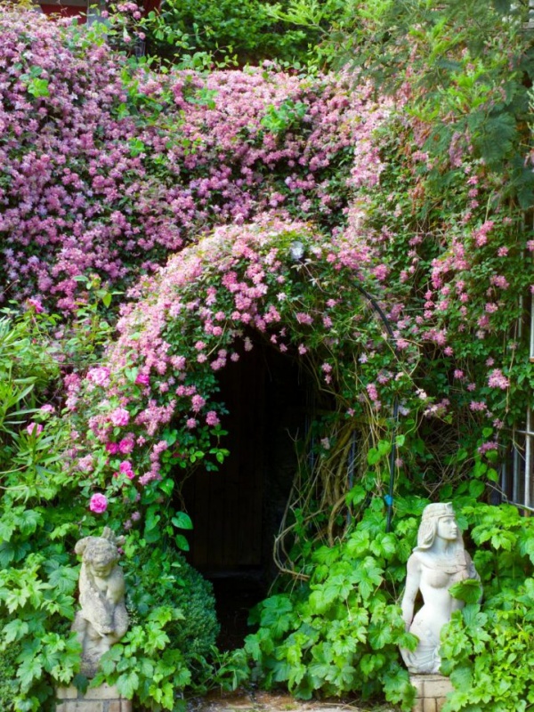 Những khu vườn trở nên lãng mạn và ngọt ngào nhờ cổng vòm rực rỡ sắc hoa - Ảnh 9.