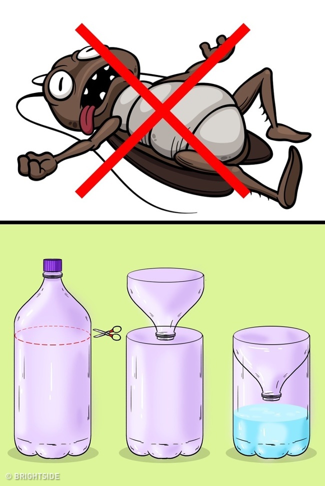 Những cách tuyệt hay “đánh bay” côn trùng khỏi ngôi nhà của bạn - Ảnh 1.