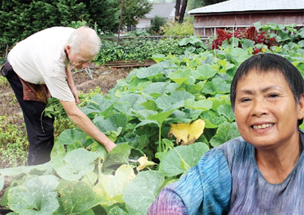 Vườn rau rộng tới 8000m² giữa thủ đô nước Mỹ của người phụ nữ Việt - Ảnh 6.
