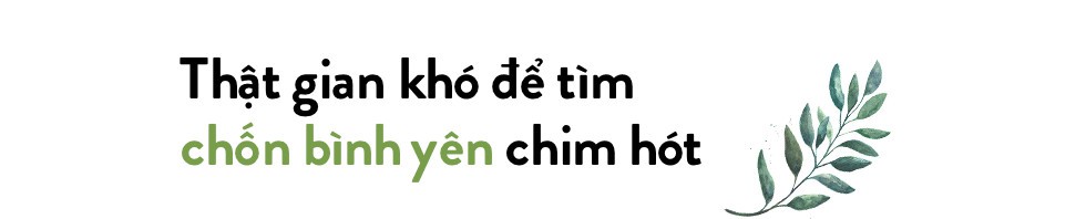 Tìm đâu không gian hạnh phúc, an yên giữa đô thành tấp nập - Ảnh 3.