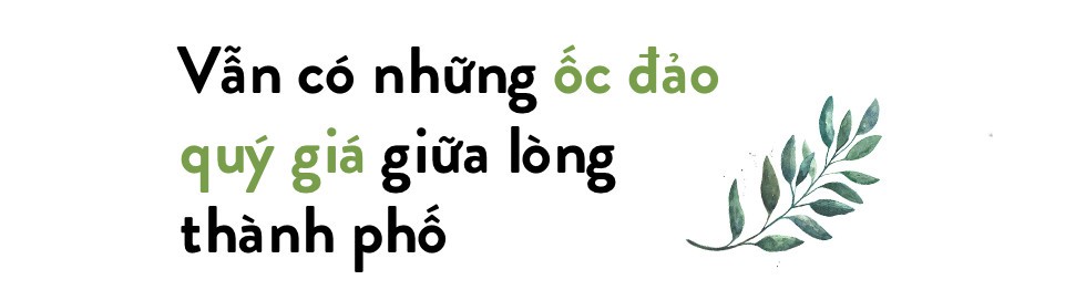 Tìm đâu không gian hạnh phúc, an yên giữa đô thành tấp nập - Ảnh 6.