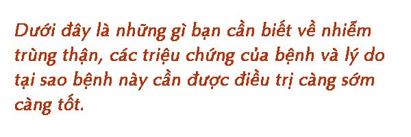 7 dấu hiệu và triệu chứng nhiễm trùng thận không nên bỏ qua - Ảnh 3.