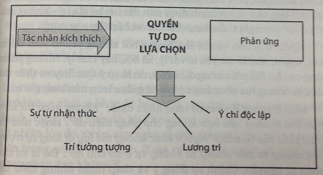 Đây là bí mật của những người lúc nào cũng vui vẻ, hạnh phúc trong cuộc sống thay vì tôi buồn không hiểu vì sao tôi buồn  - Ảnh 1.