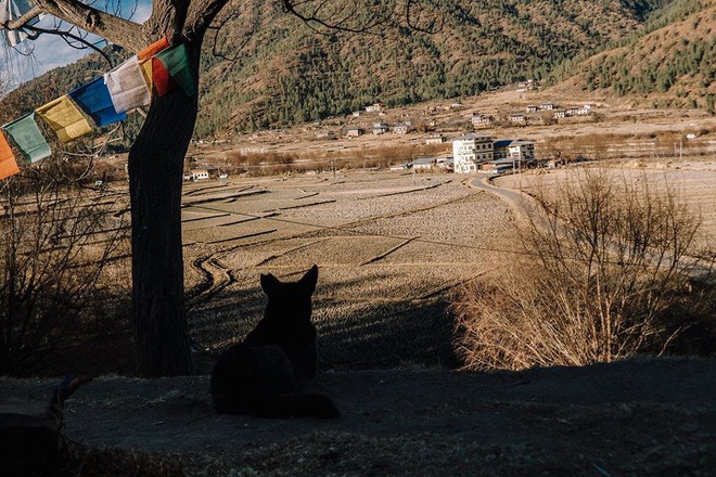 Ngắm Bhutan đẹp ngoài sức tưởng tượng dưới ống kính của travel blogger Nhị Đặng - Ảnh 15.