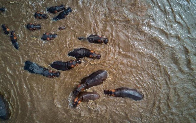 22 khung cảnh trên không đẹp nhất hành tinh, đầm hoa súng Việt Nam cũng nằm trong số đó - Ảnh 19.