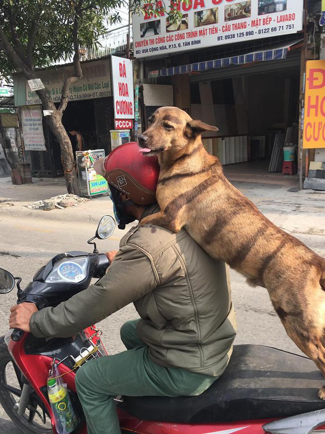  Tổng hợp những con boss cứ thích bám càng sen đi khắp nơi mà không hề ngần ngại - Ảnh 4.