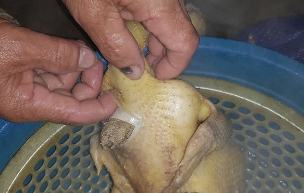Tết sắp đến, nhìn lại những pha mổ gà, vịt của nam thanh, nữ tú khiến dân mạng cười ra nước mắt - Ảnh 12. Tết sắp đến, nhìn lại những pha mổ gà, vịt của nam thanh, nữ tú khiến dân mạng cười ra nước mắt - Ảnh 12.