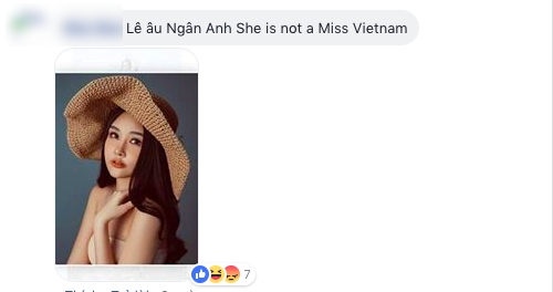 Lê Âu Ngân Anh và chuyện có 1-0-2 tại Hoa hậu Liên lục địa 2018: Bị fan Việt vào fanpage quốc tế tố thi chui - Ảnh 4.