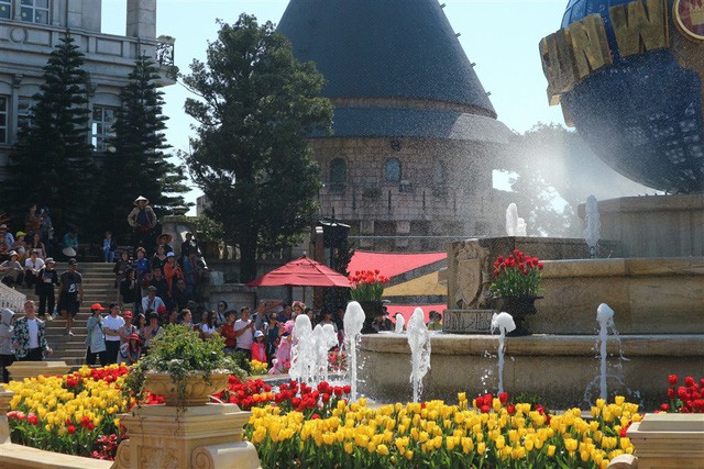 Hơn triệu b&ocirc;ng tulip biến B&agrave; N&agrave; th&agrave;nh &ldquo;xứ sở H&agrave; Lan&rdquo; - Ảnh 3.
