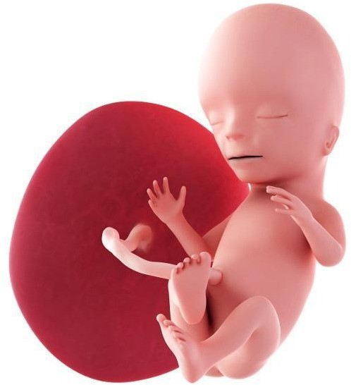 Mẹ bầu chơi điện thoại ban đêm thì thai nhi như thế nào, câu trả lời của chuyên gia sức khỏe sẽ khiến các mẹ buông ngay lập tức - Ảnh 2.