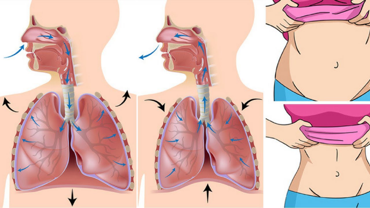 Дыхательная животом. Японский метод похудения Мики рёсуке.. Неправильное дыхание. Похудение через дыхание. Японское дыхание.