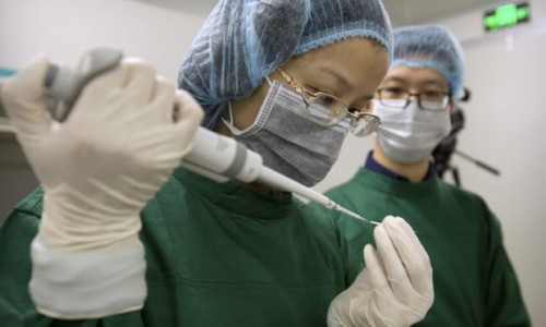 Trung Quốc xác nhận người phụ nữ thứ hai mang thai chỉnh sửa gen - Ảnh 1.