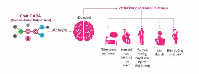 Gapajaponica gạo Việt chất Nhật - Ảnh 2.