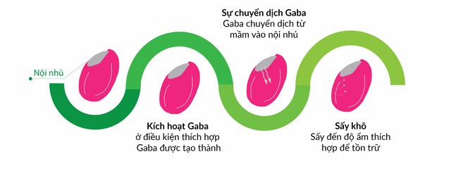 Gapajaponica gạo Việt chất Nhật - Ảnh 3.