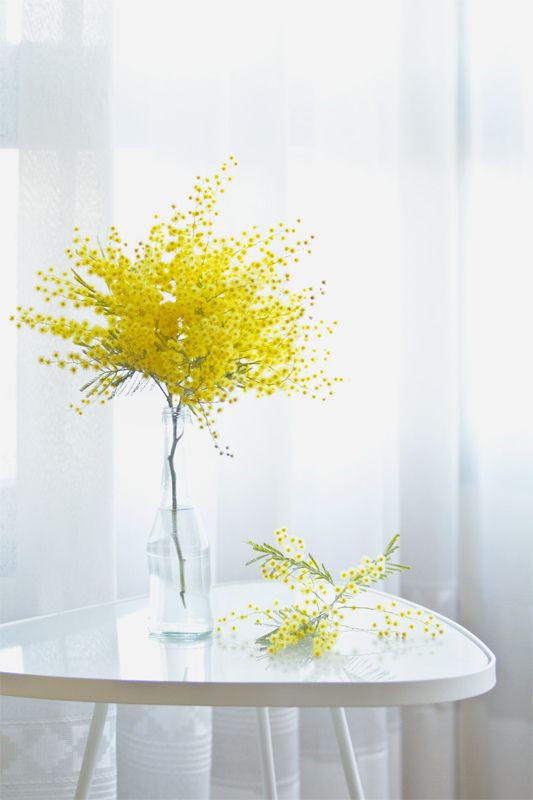 Ngoài đào và quất, những loại hoa này cũng nên được trang trí trong nhà bạn cho Tết thêm đầm ấm sum vầy - Ảnh 11.