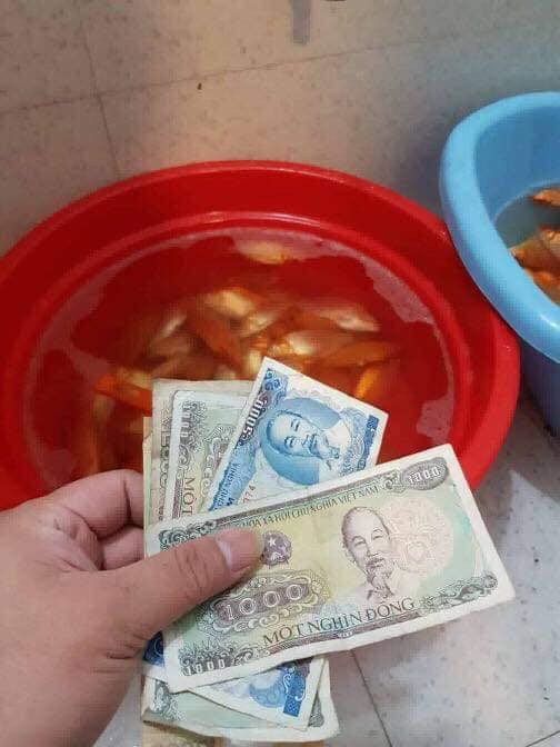 2 anh em có nhã ý tắm cho cá vàng bằng nước lau sàn, kết quả là bố mẹ mất toi Ông Công Ông Táo - Ảnh 1. 2 anh em có nhã ý tắm cho cá vàng bằng nước lau sàn, kết quả là bố mẹ mất toi Ông Công Ông Táo - Ảnh 1.