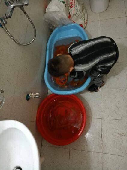 2 anh em có nhã ý tắm cho cá vàng bằng nước lau sàn, kết quả là bố mẹ mất toi Ông Công Ông Táo - Ảnh 3. 2 anh em có nhã ý tắm cho cá vàng bằng nước lau sàn, kết quả là bố mẹ mất toi Ông Công Ông Táo - Ảnh 3.
