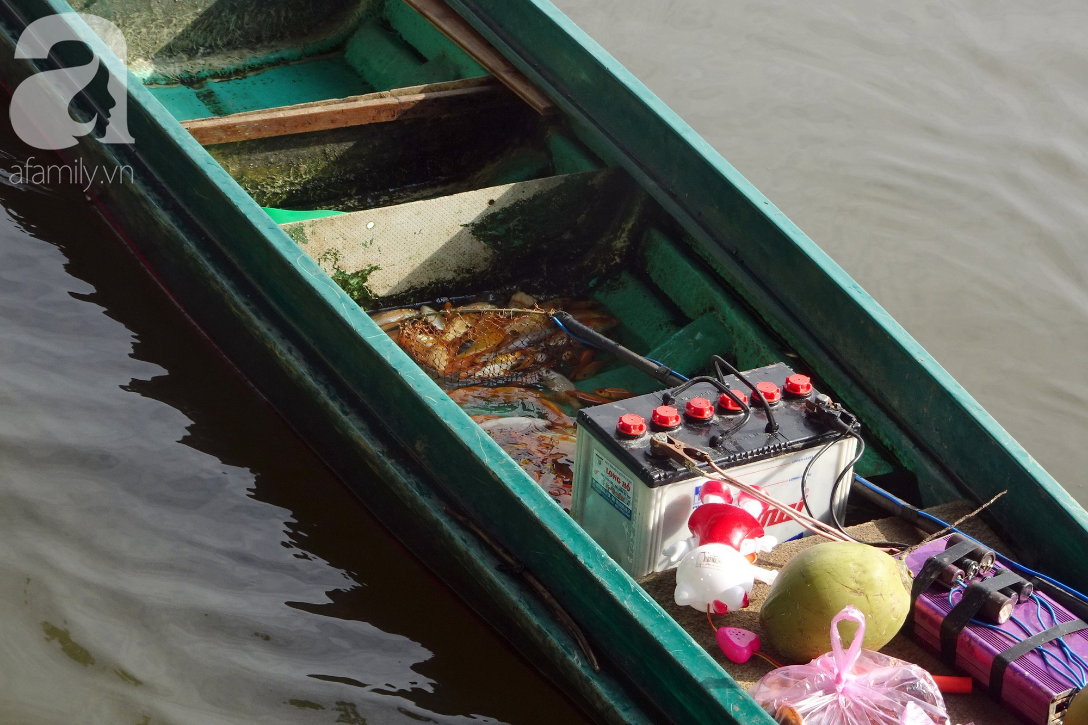 TP.HCM: Cá chép cúng ông Táo vừa thả xuống sông chưa kịp về trời đã bị chích điện, vớt lên bán lại - Ảnh 3.
