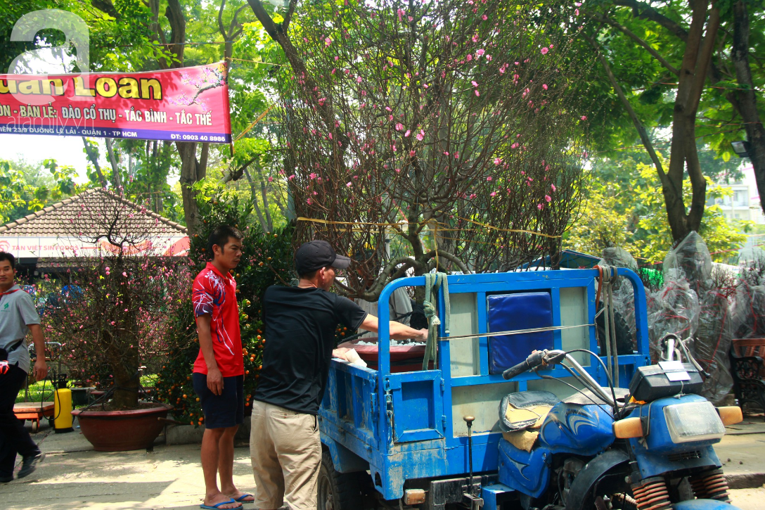 25 triệu đồng một gốc đào vẫn cháy hàng tại Sài Gòn, người bán không lo rớt giá dịp Tết - Ảnh 6.