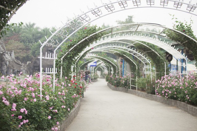 Lễ hội hoa Xu&acirc;n độc đ&aacute;o cho cả gia đ&igrave;nh du xu&acirc;n - Ảnh 9.