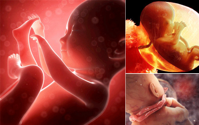 Giải mã tất tần tật về hiện tượng dây rốn quấn cổ thai nhi khiến nhiều mẹ bầu lo lắng - Ảnh 6.