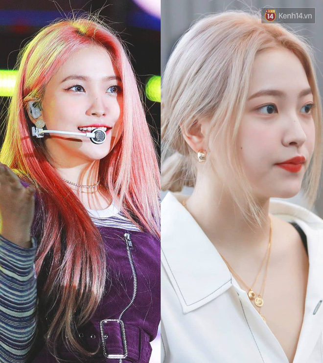 - Ảnh 10. - Ảnh 10.
