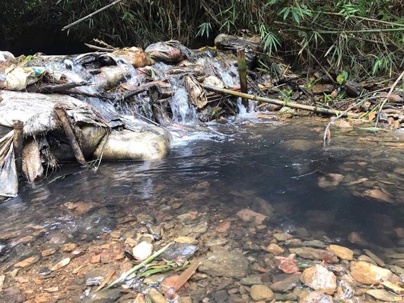 “Nước sạch” tại Hà Nội nhiễm styren cao gấp 3,65 lần bình thường: Hãy nhớ khuyến cáo này của chuyên gia để bảo vệ sức khỏe - Ảnh 1.