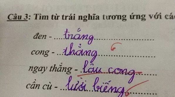 Trong giờ học tự chọn cô giáo hỏi &quot;hạnh phúc là gì?&quot;, học sinh đưa ra câu trả lời khiến cô cũng phải câm nín - Ảnh 4.