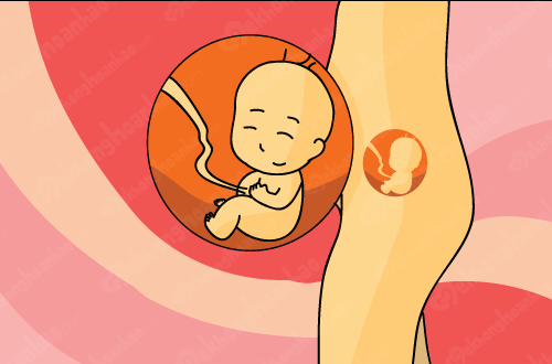 Mang thai tuần 16: Nhiều bất ngờ dành cho mẹ vì có thể cảm nhận được thai máy - Ảnh 2.