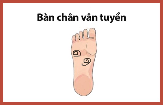 Phụ nữ sở hữu tướng chân quý nhân, đi đến đâu tài vận theo đến đó, cả đời sống trong vinh hoa phú quý, tình cảm viên mãn hạnh phúc - Ảnh 1.