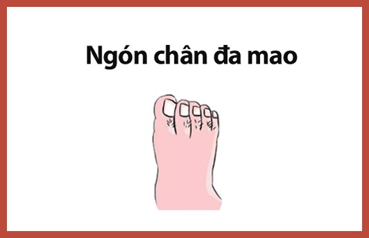 Phụ nữ sở hữu tướng chân quý nhân, đi đến đâu tài vận theo đến đó, cả đời sống trong vinh hoa phú quý, tình cảm viên mãn hạnh phúc - Ảnh 4.