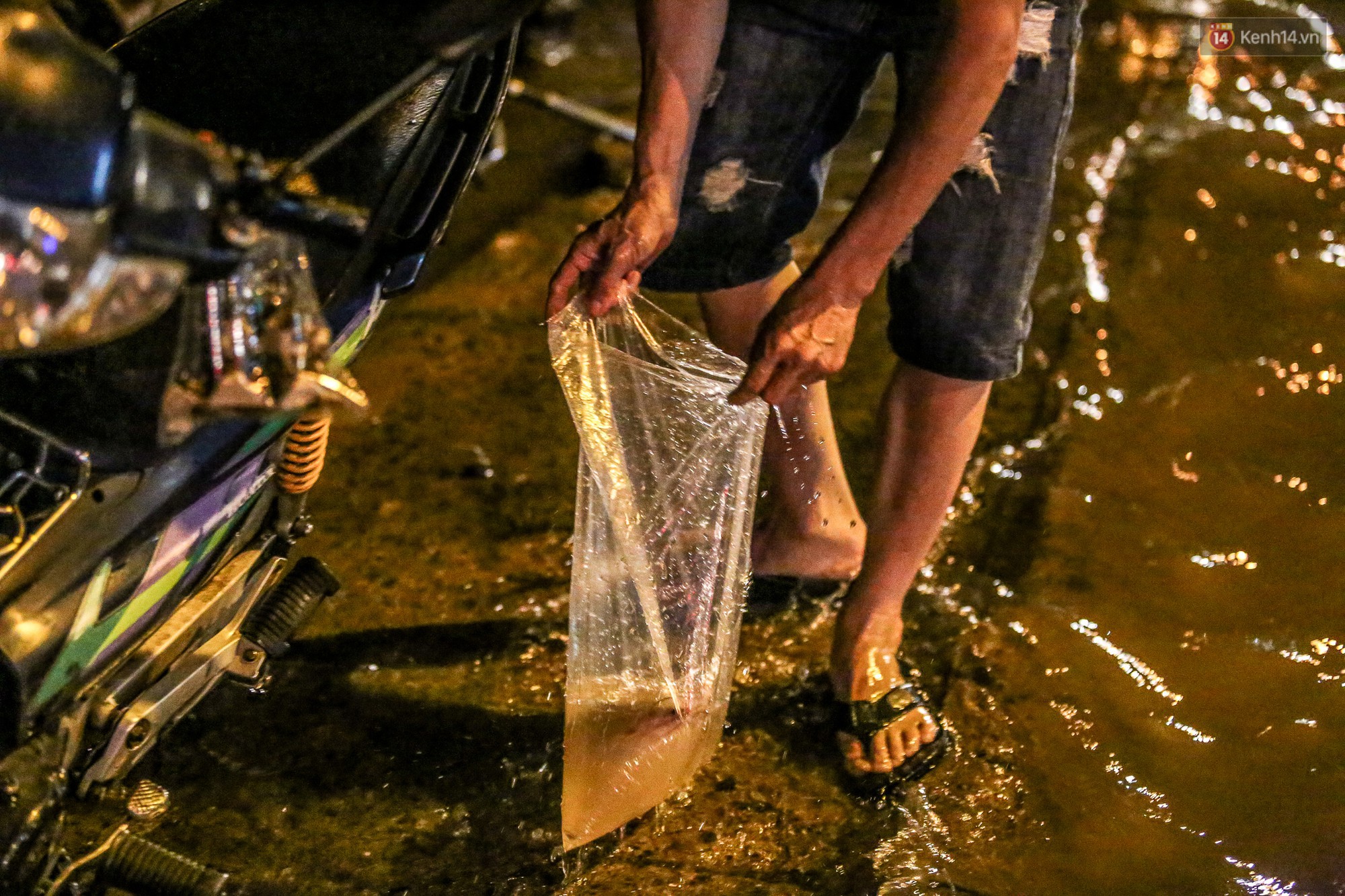 Người Sài Gòn bắt cá trên đường ngập trong ngày triều cường tiếp tục dâng cao - Ảnh 8.