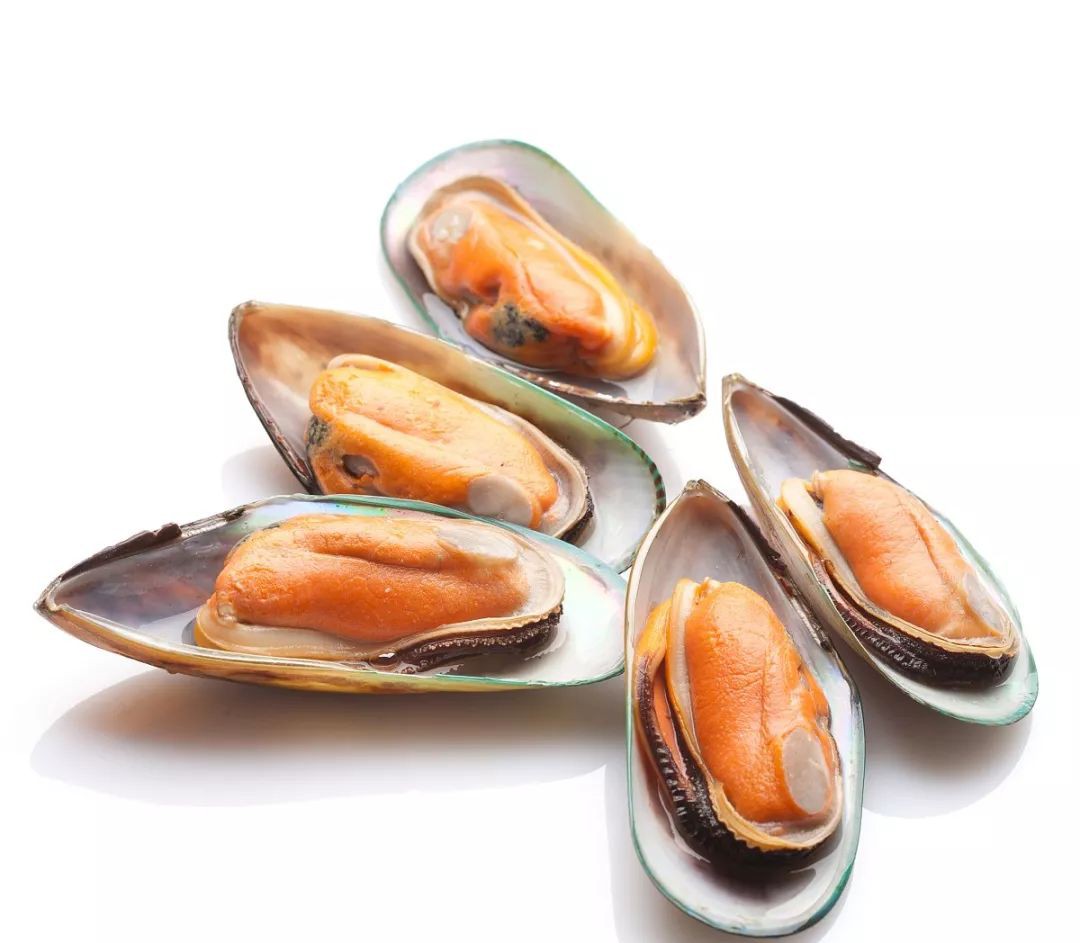 Vẹm xanh New Zealand: Báu vật dưới mặt nước, giá bán tới gần nửa triệu/kg vẫn đắt khách - Ảnh 1.