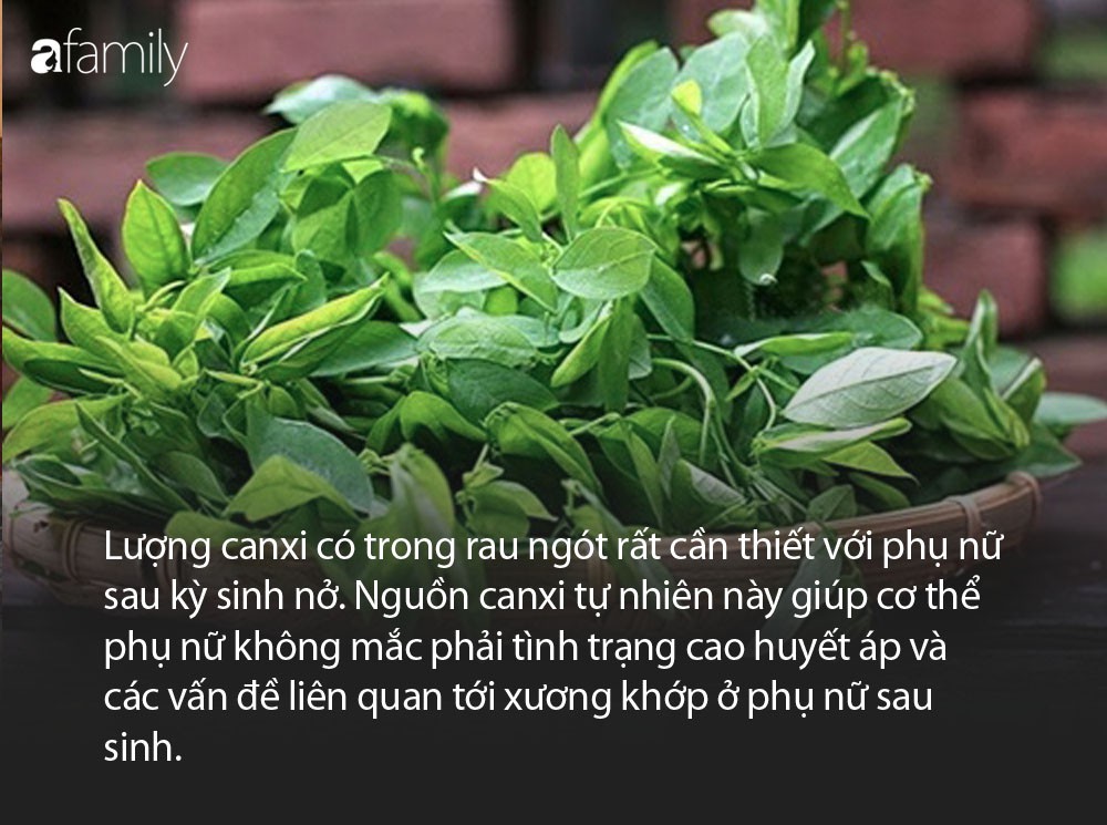 V&igrave; sao cơm cữ cho b&agrave; đẻ kh&ocirc;ng thể thiếu m&oacute;n "truyền thuyết" - canh rau ng&oacute;t - Ảnh 4.