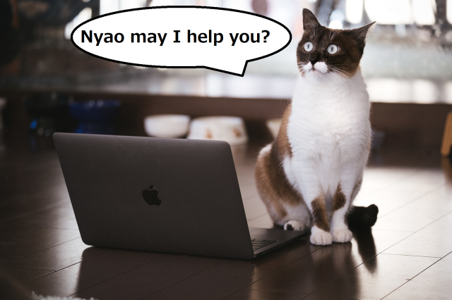 Kỹ sư Nhật Bản sử dụng &quot;quyền năng mèo&quot; để làm khách hàng bớt càu nhàu và khó tính - Ảnh 1.