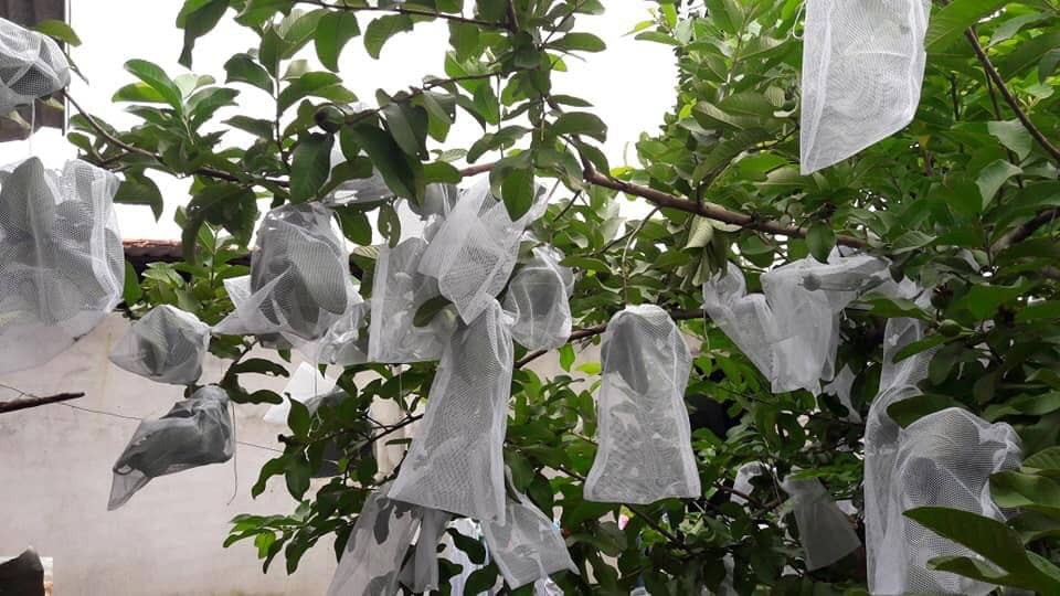 Màn tuyn Dệt 10/10 – 45 năm tiêu dùng để thấu hiểu - Ảnh 2.