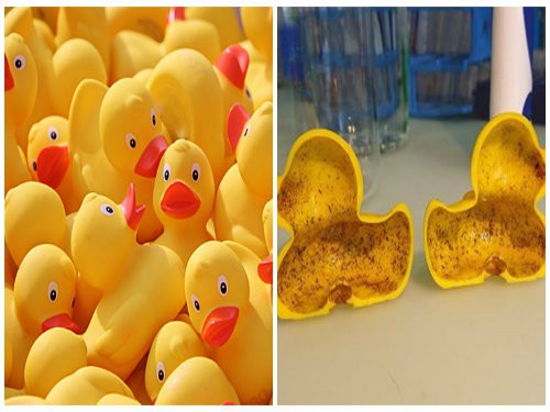 Cảnh báo: Một số đồ chơi bằng nhựa ở Thái Lan được phát hiện chứa lượng lớn hóa chất ảnh hưởng đến sinh sản và nguy cơ mắc ung thư - Ảnh 4.